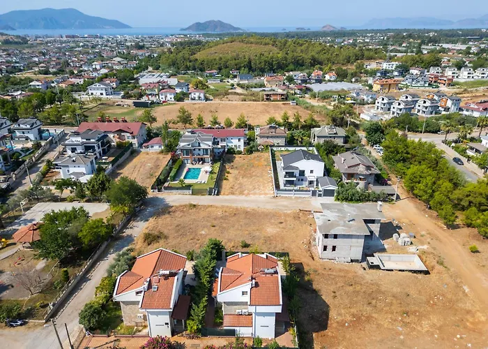 Talia Deniz Manzarali *